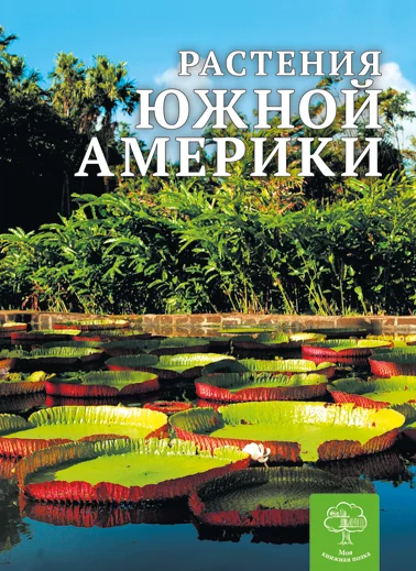 Растения Южной Америки