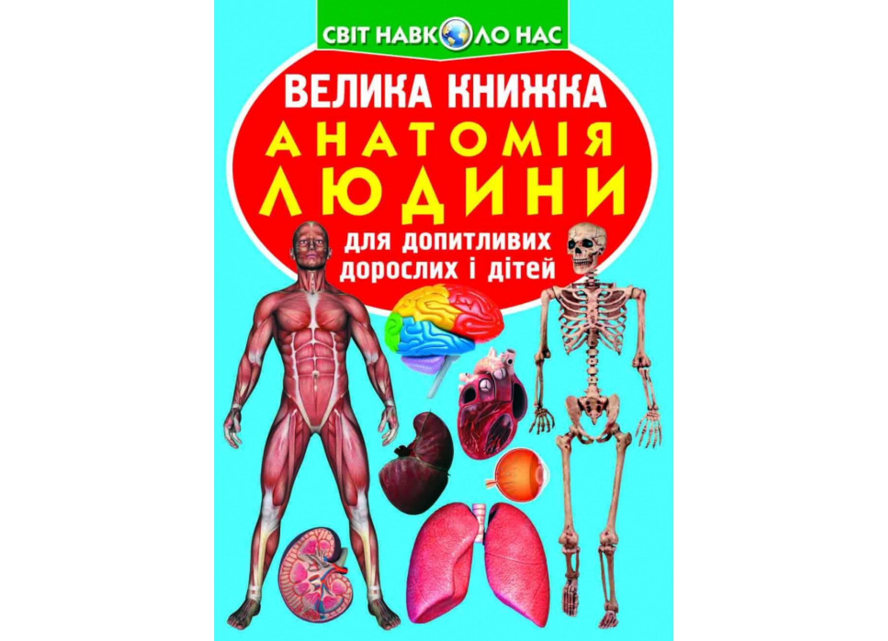 Велика книжка. Анатомія людини