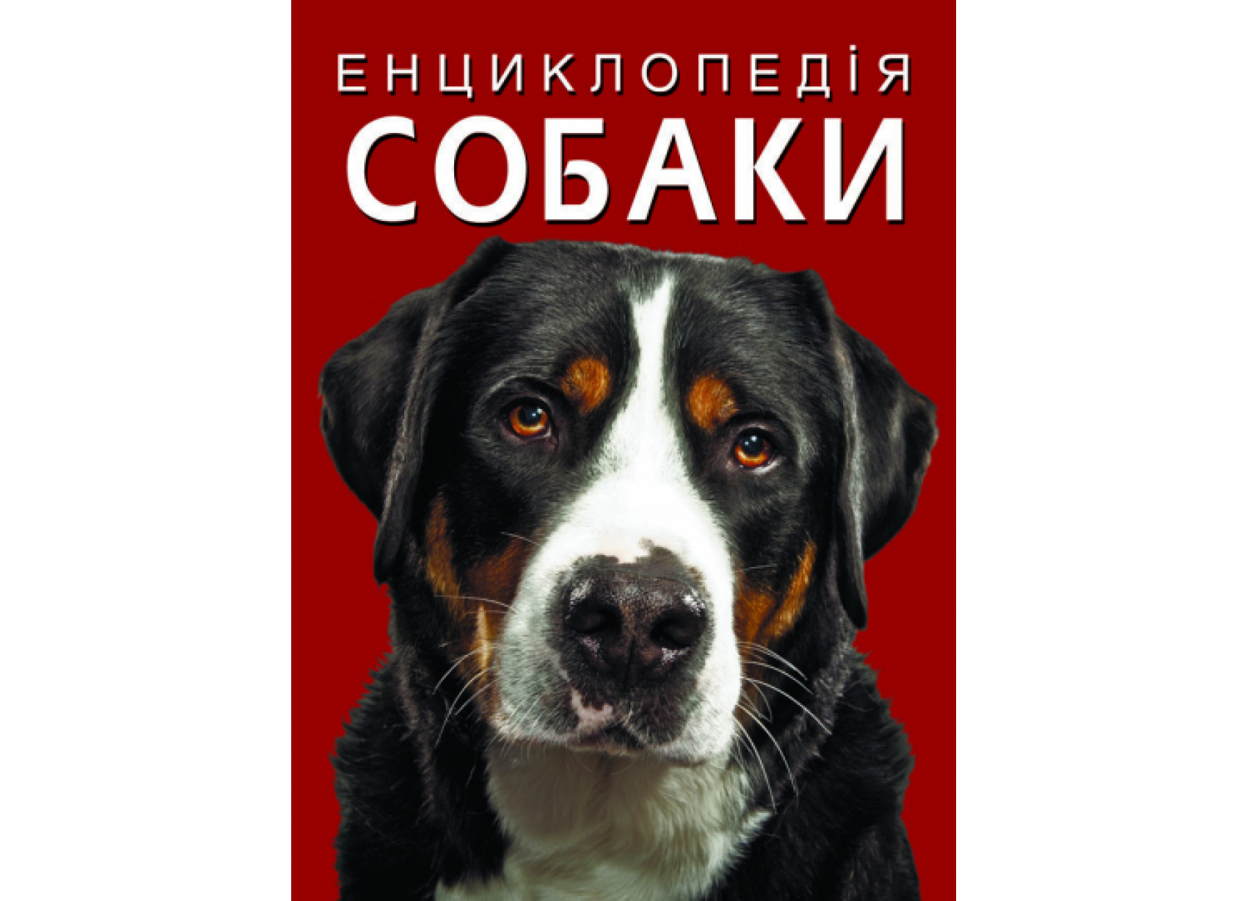 Енциклопедія. Собаки