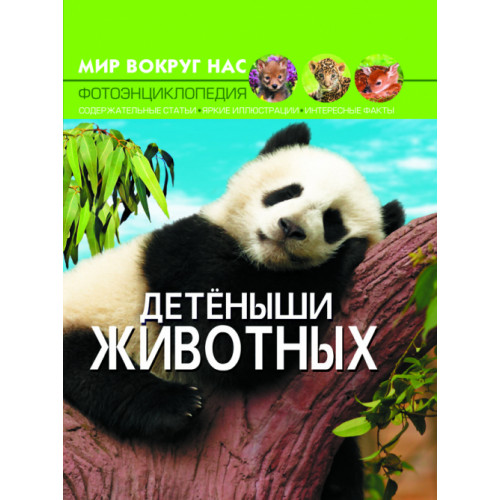 Мир вокруг нас. Детеныши животных