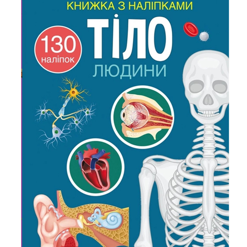 Книжка з наліпками. Тіло людини
