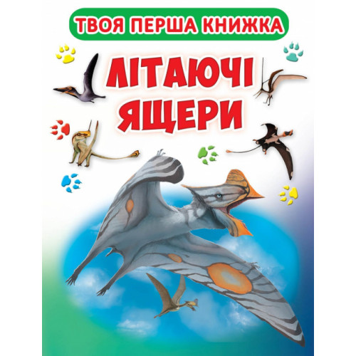 Книга-картонка А-4 Твоя перша книга. Літаючі ящери