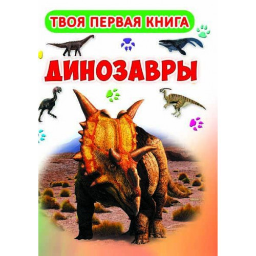 Книга-картонка А-4 Твоя первая книга. Динозавры (код 417-3)