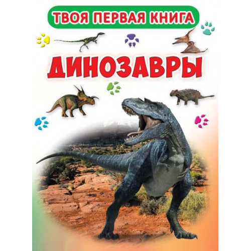 Книга-картонка А-4 Твоя первая книга. Динозавры