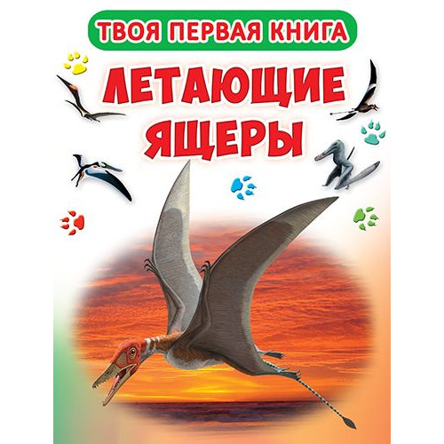 Книга-картонка А-4 Твоя первая книга. Летающие ящеры (код 415-9)