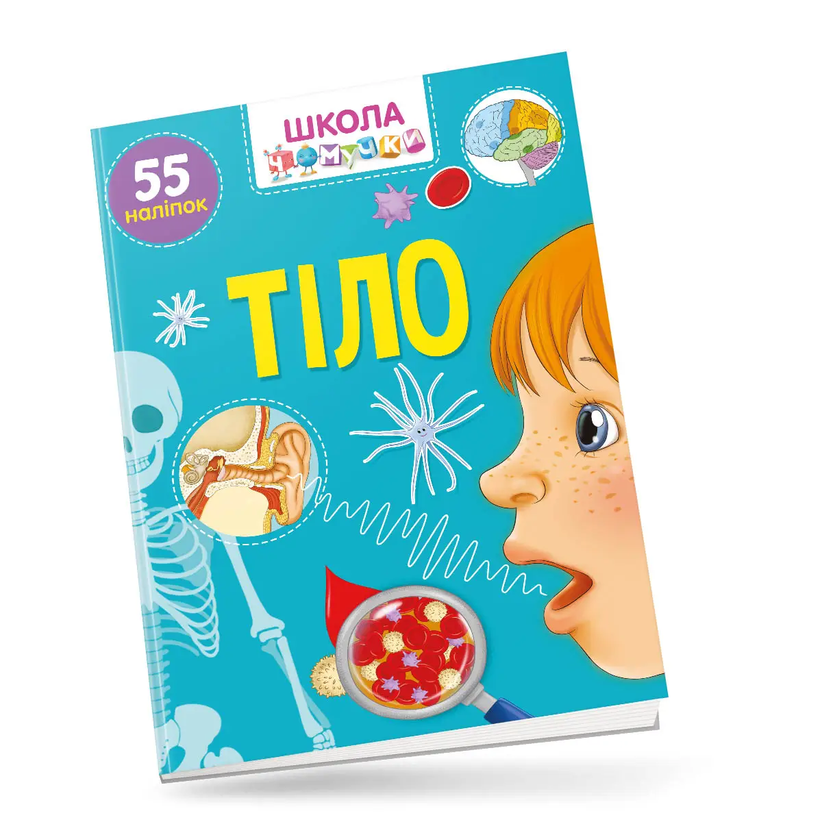 Тіло Школа чомучки