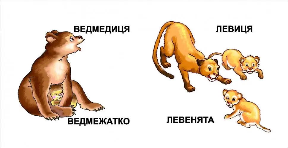 ...