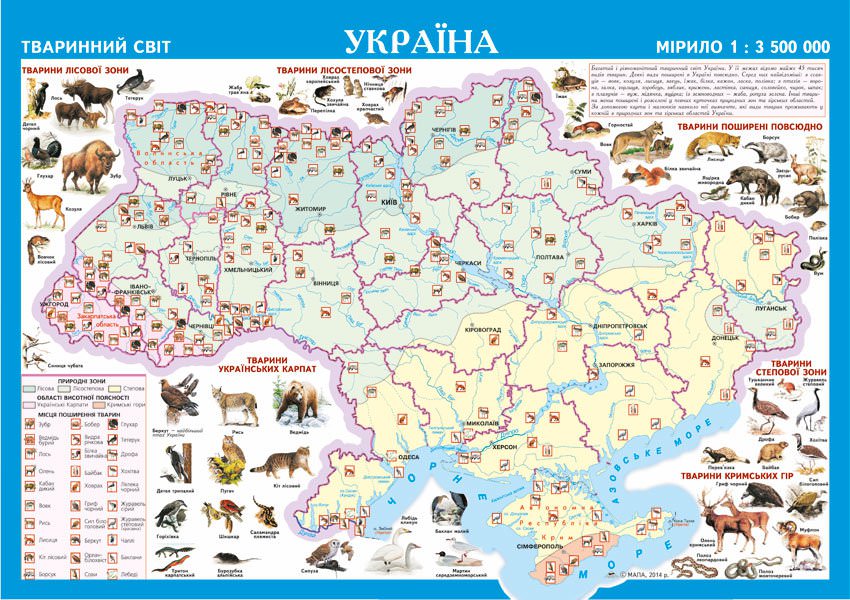 Україна ТВАРИННИЙ СВІТ Настільна мапа 1:3 700 000