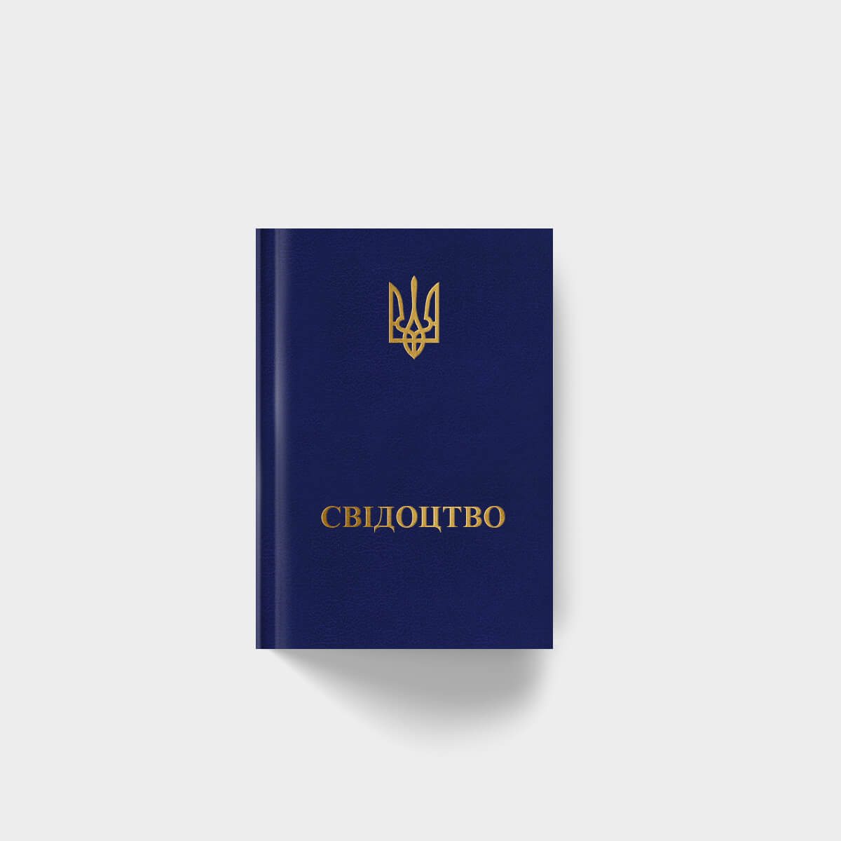 Свідоцтво про позашкільну освіту (синя палітурка, держ символи)