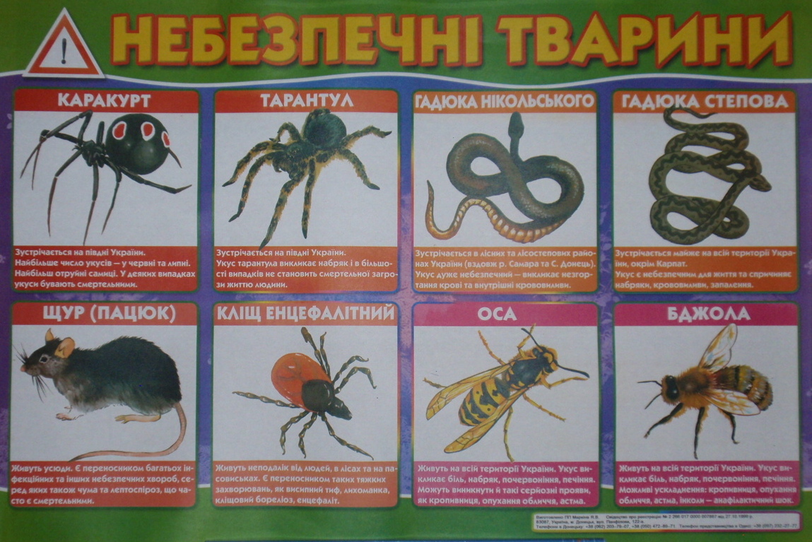 НЕБЕЗПЕЧНІ ТВАРИНИ  Плакат (картон)