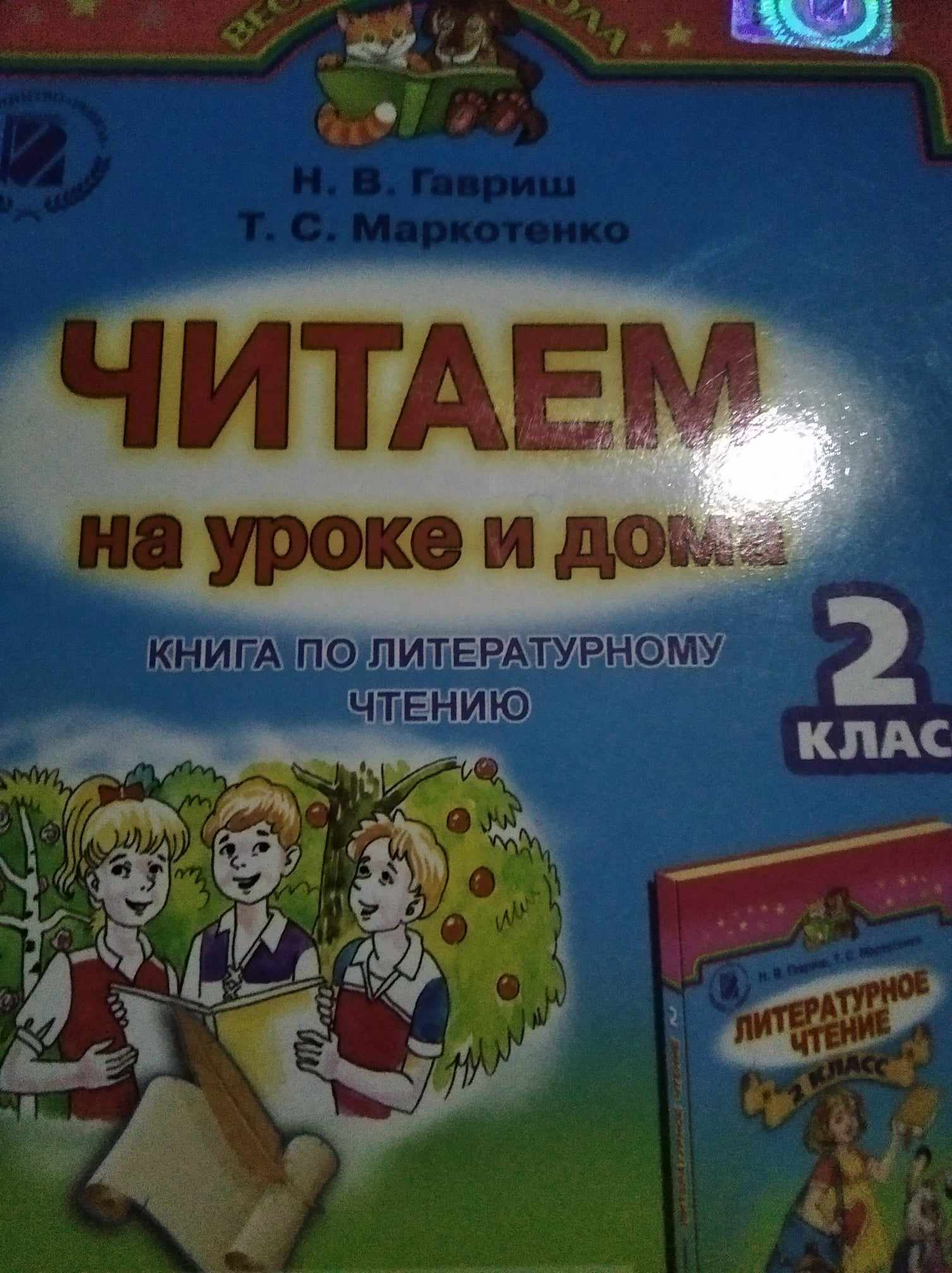 Читаем на уроке и дома. Книга для литературного чтения, 2 кл.  2013  Гавриш Н.В.