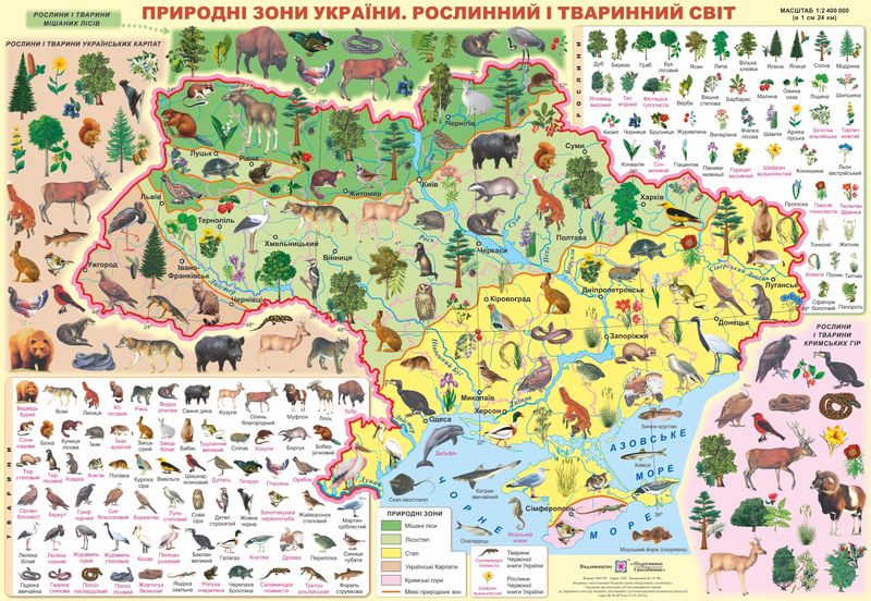 Природні зони України. Рослинний і тваринний світ. Плакат