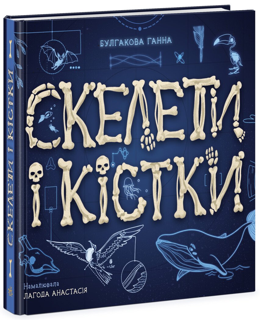 Скелети і кістки. Енциклопедія з віконцями  Булгакова Г.К.