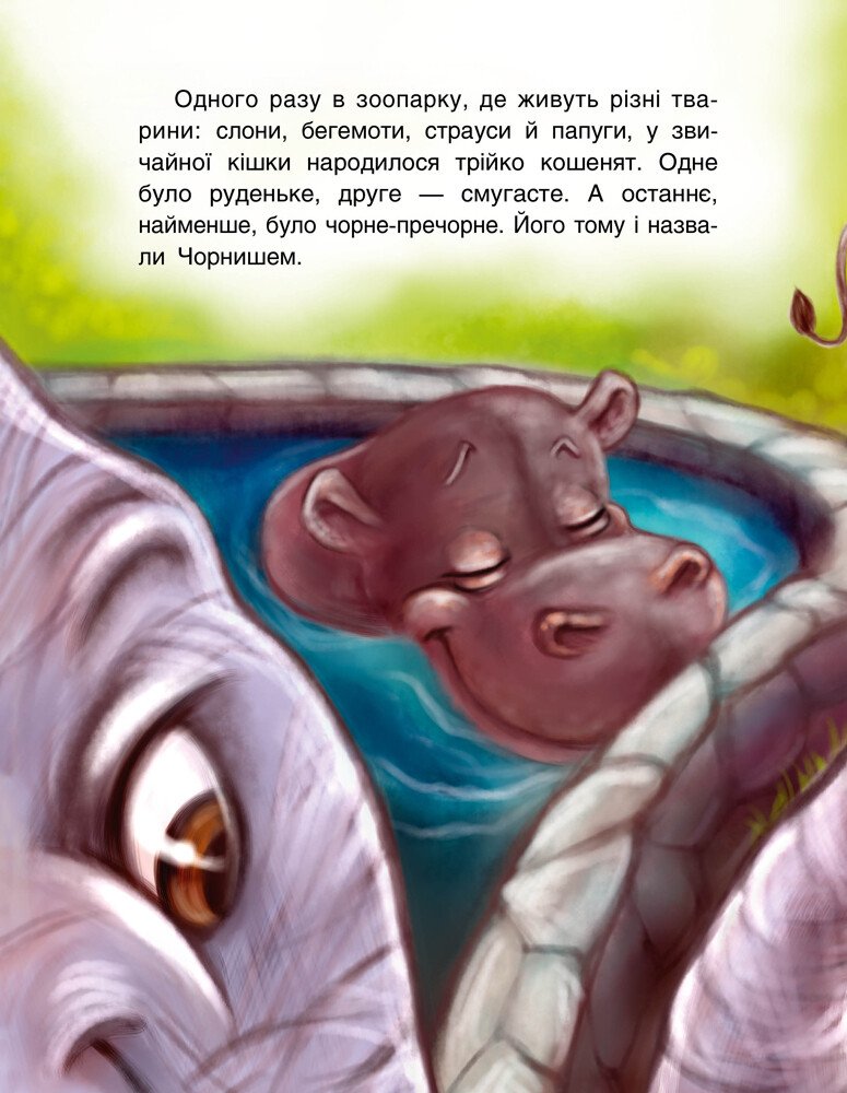 ...