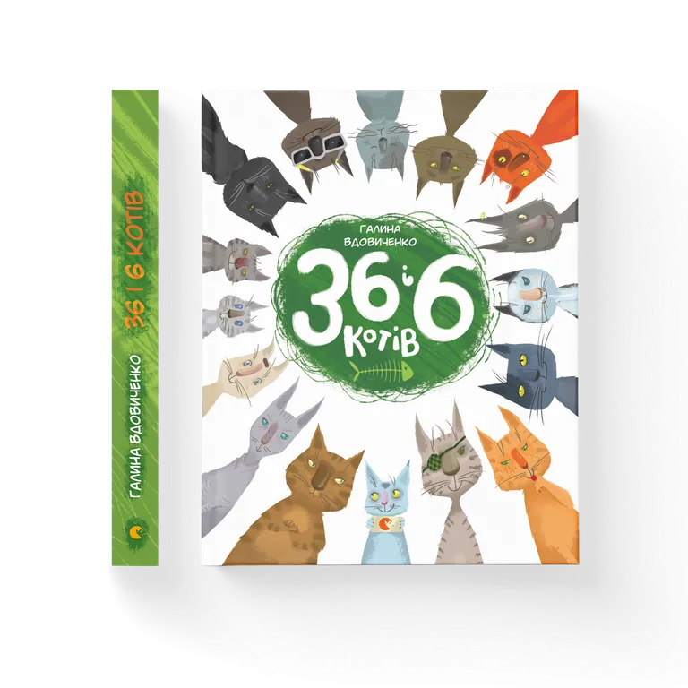 36 і 6 котів