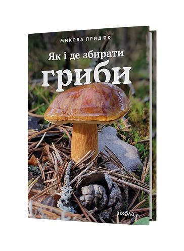 Як і де збирати гриби
