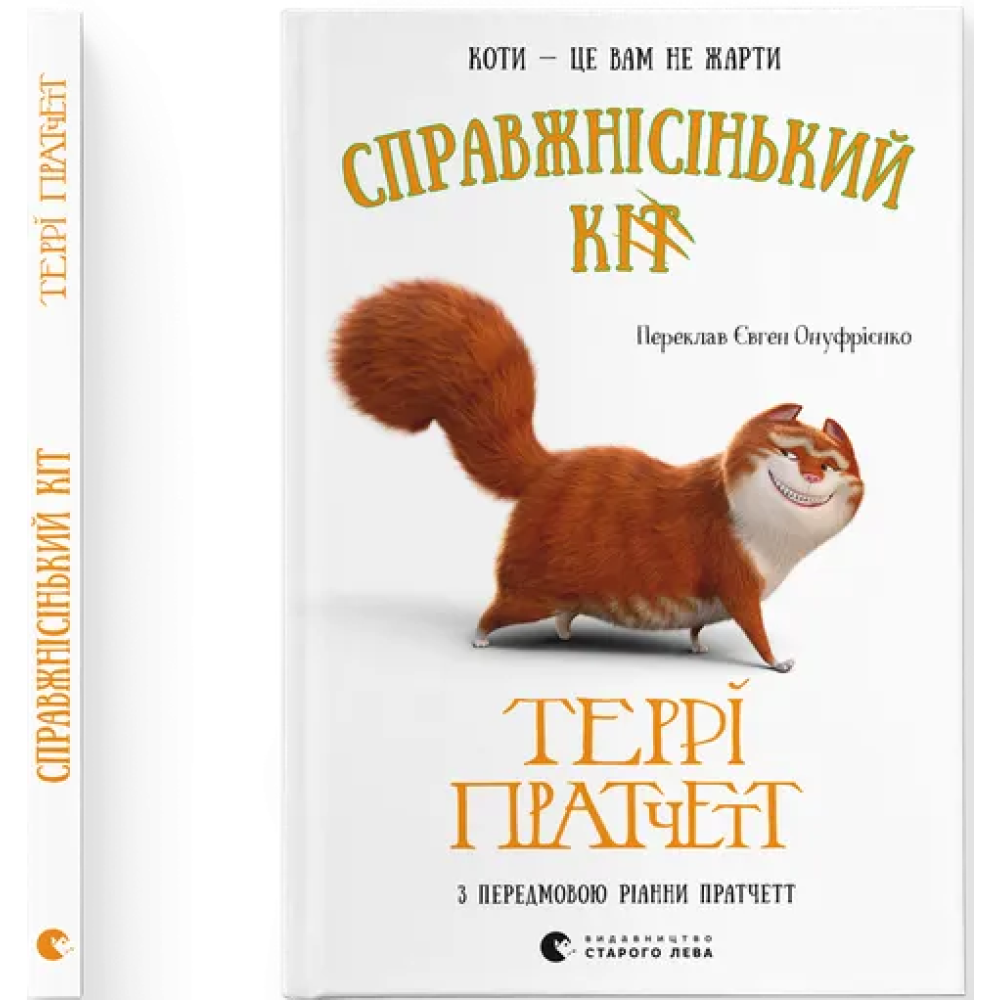 Справжнісінький кіт.  Пратчетт Террі
