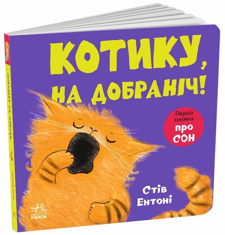 Кумедні тваринки : Котику, на добраніч!