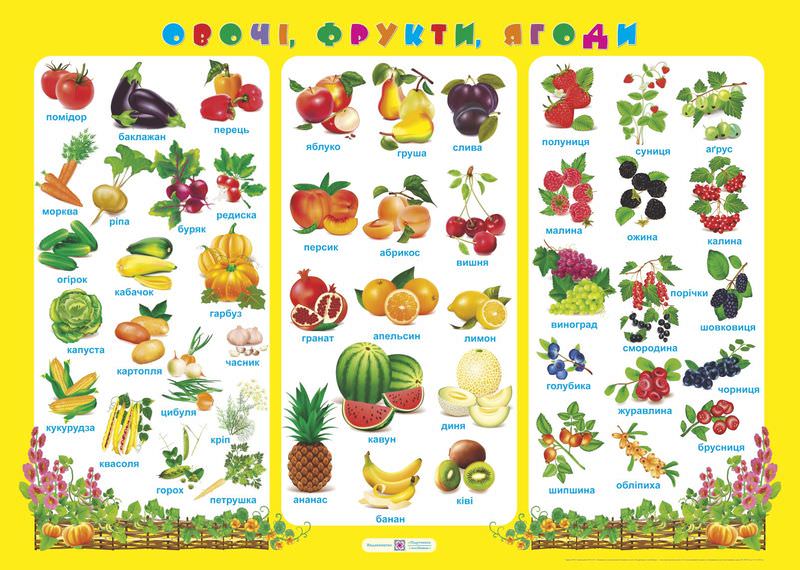 Овочі, фрукти, ягоди. Плакат Корнєєва О.